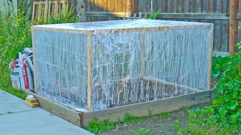 Shower Curtain Greenhouse