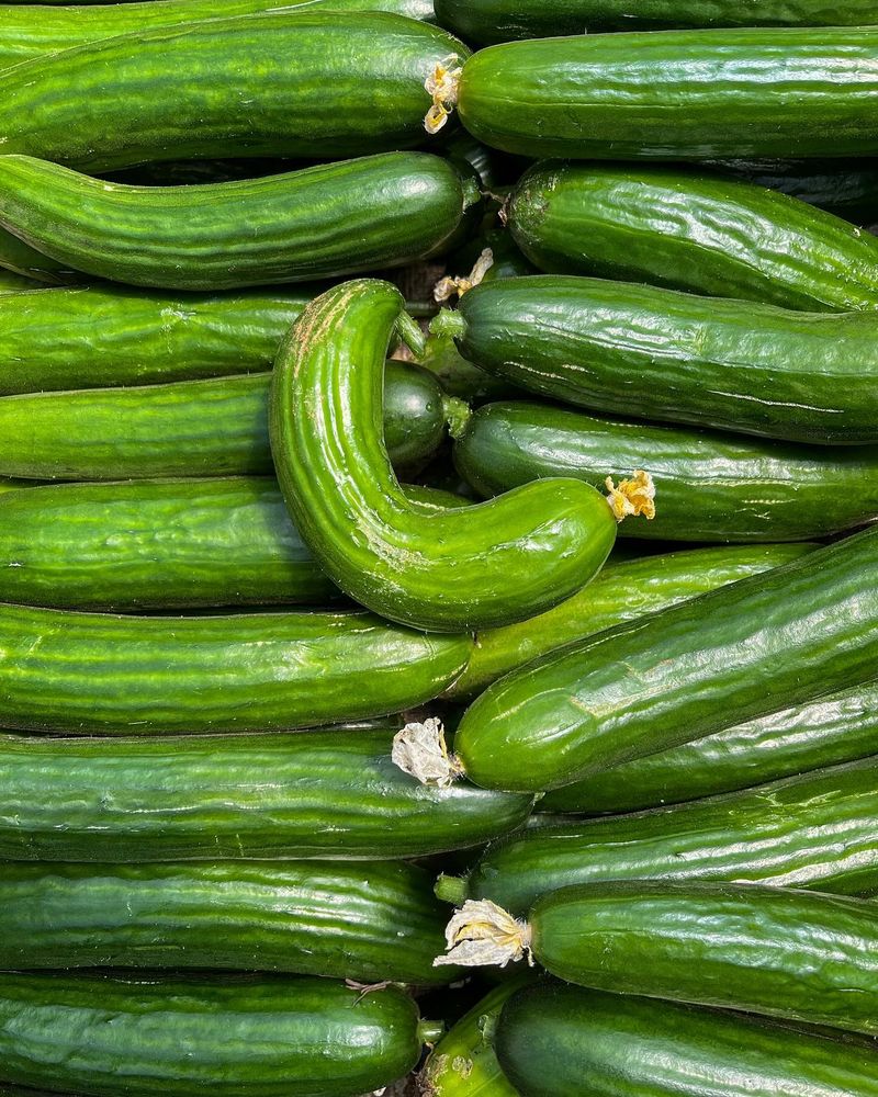 Cucumbers
