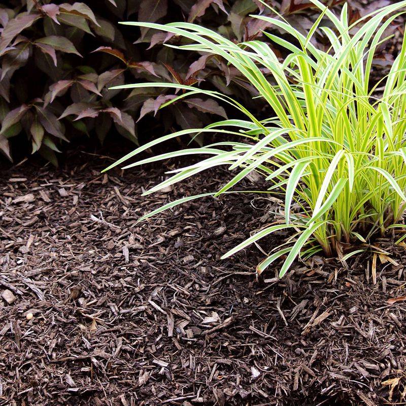Make Your Own Mulch for Free