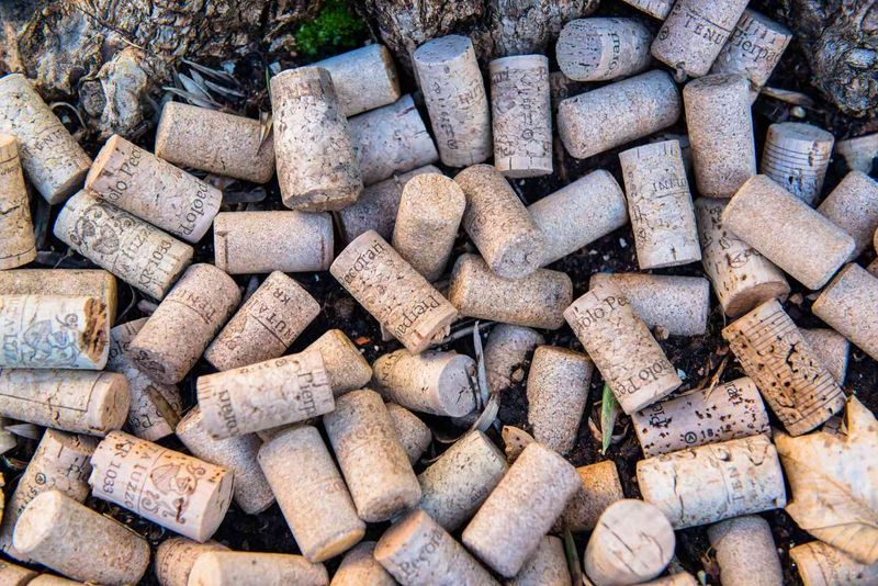 Wine Corks