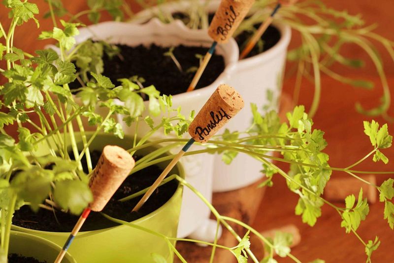 Wine Corks Create Floating Pollinator Islands