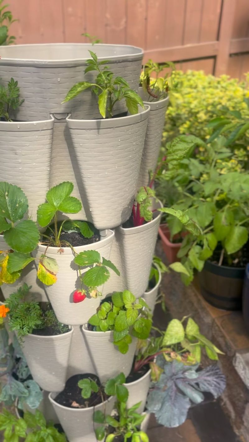 Edible Herb Towers