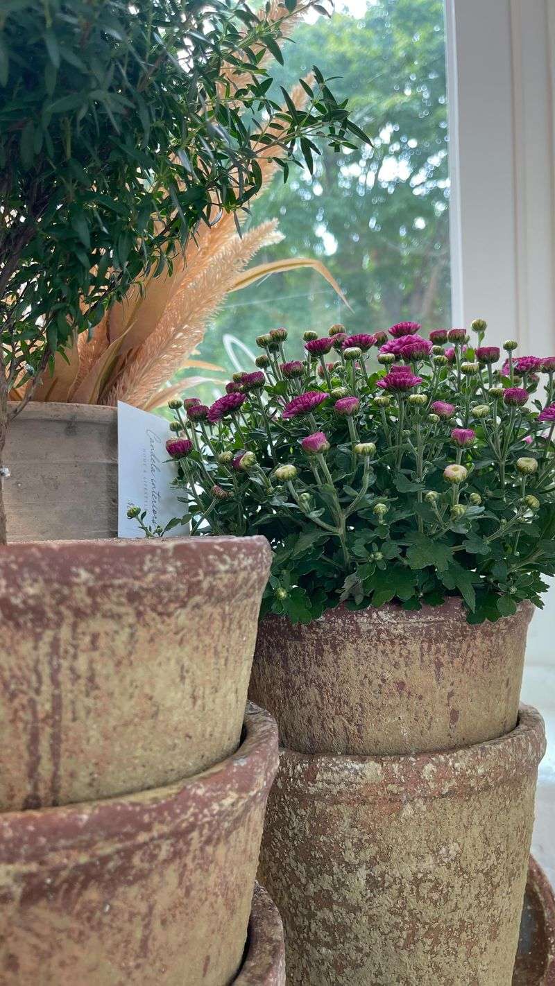 Tiered Terracotta