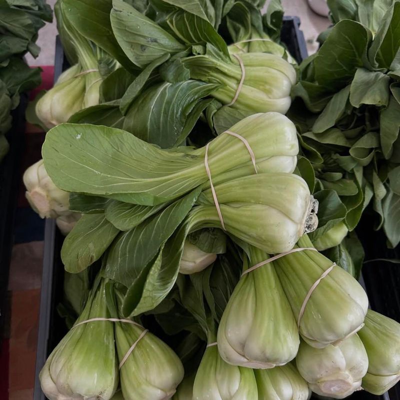 Bok Choy