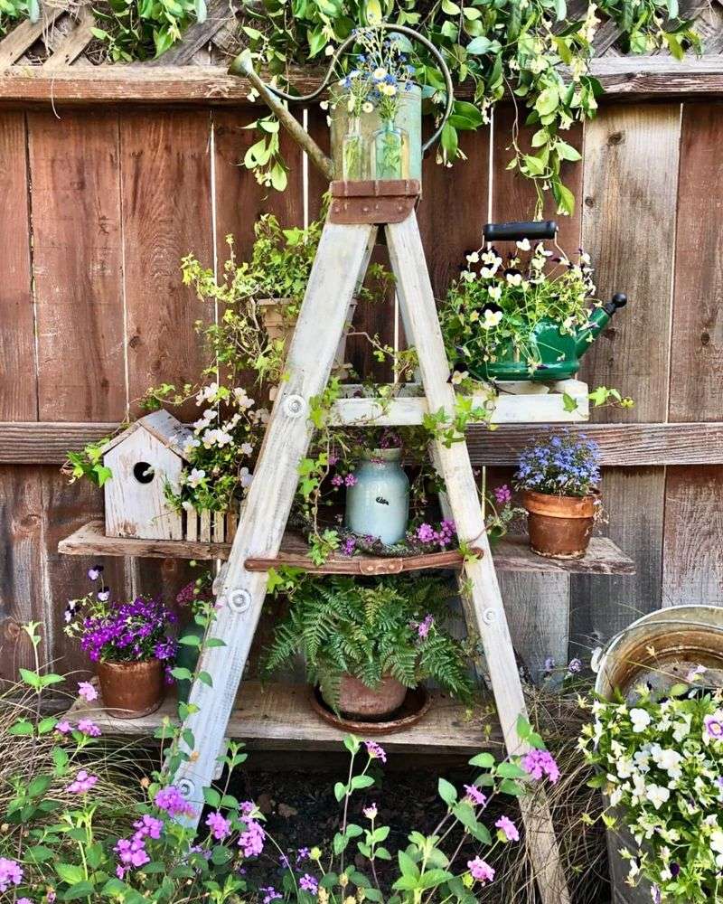 Wooden Ladders