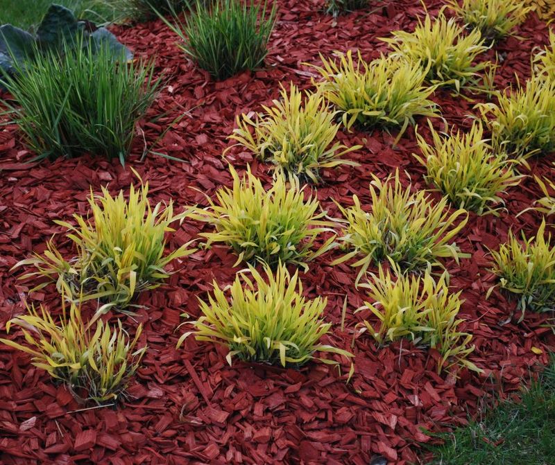 Excessive Use of Colored Mulch