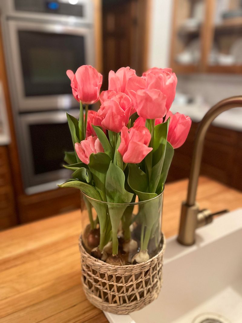 Keep Cut Flowers Cool