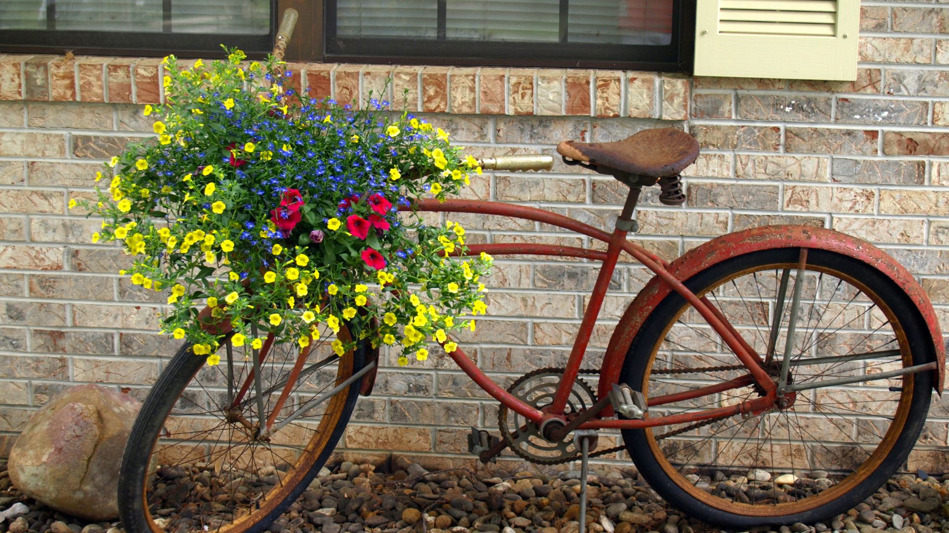 old bike planter