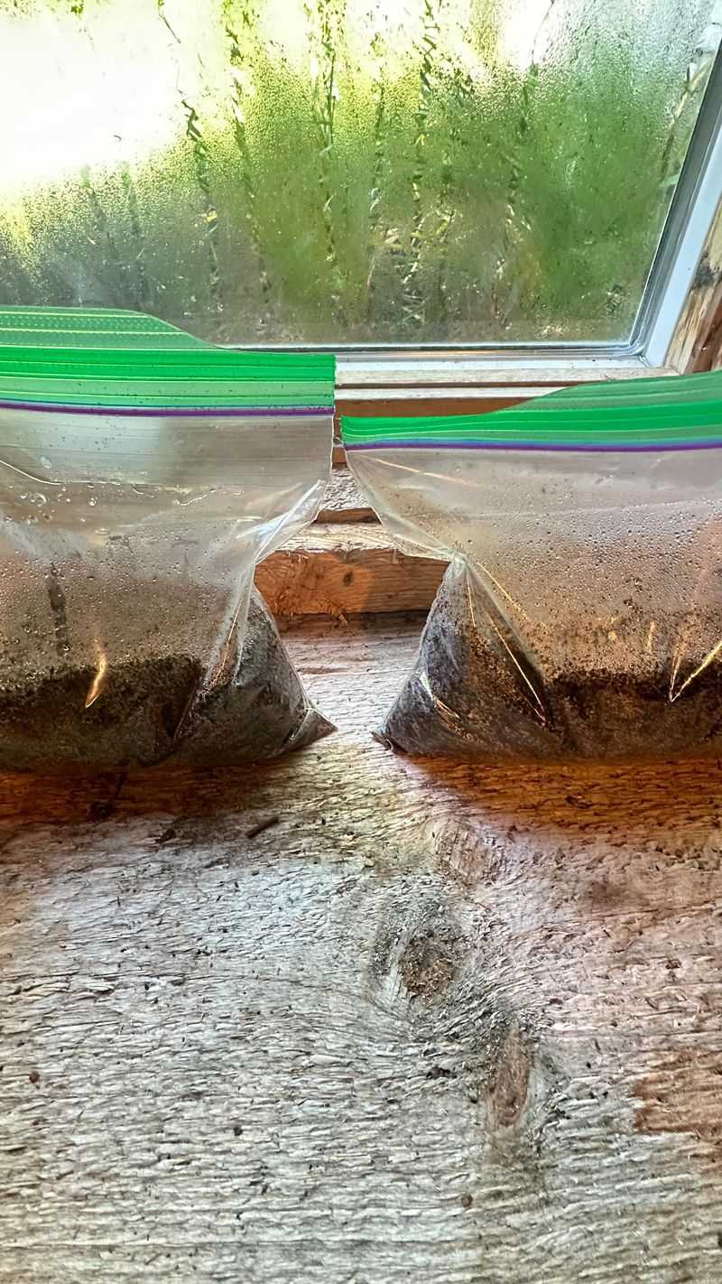 Weed Seed Removal Composting