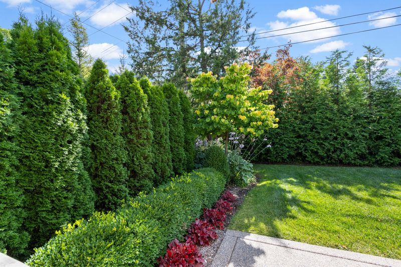 Arborvitae: Privacy Without Problems