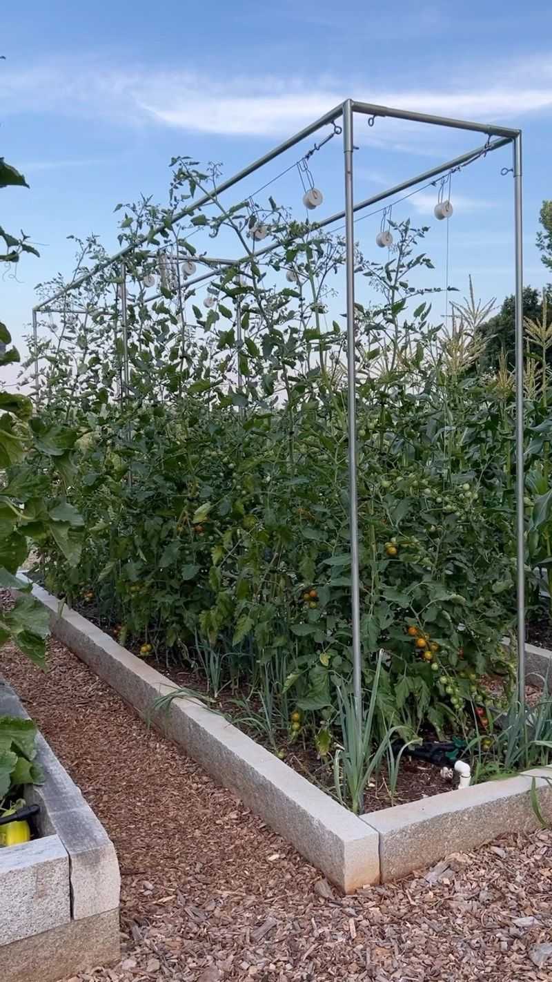 Grow Upward with Vertical Supports