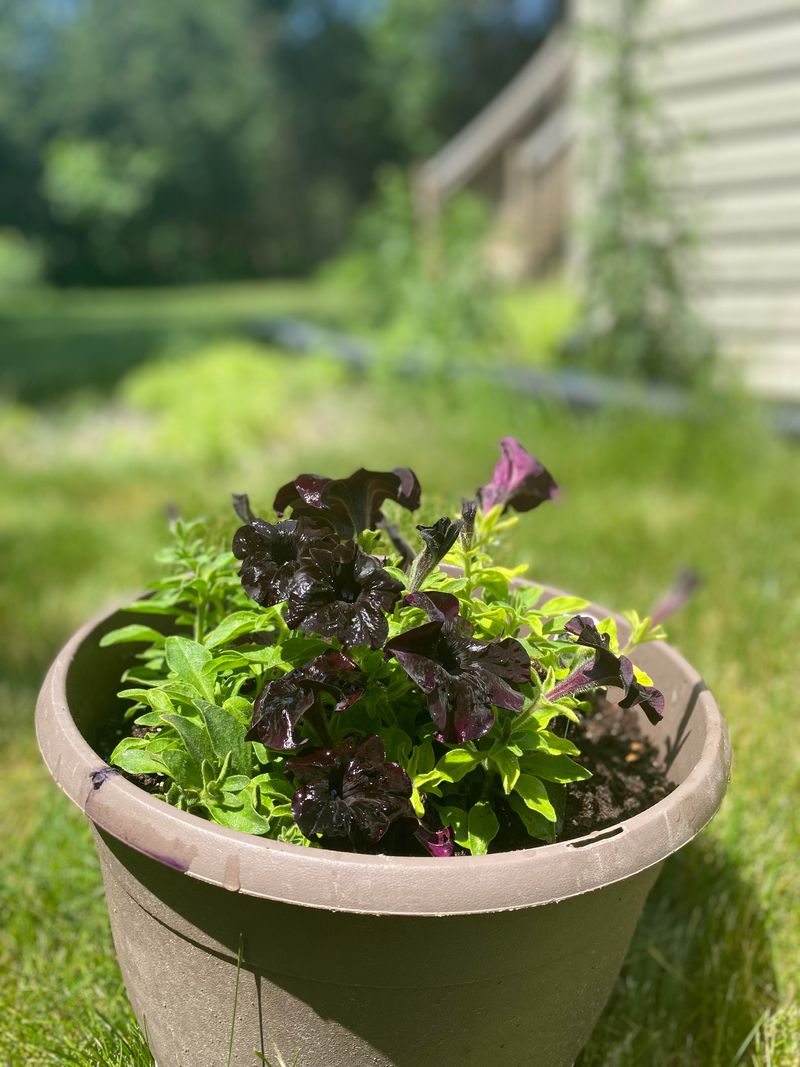 Use Containers for Flexibility