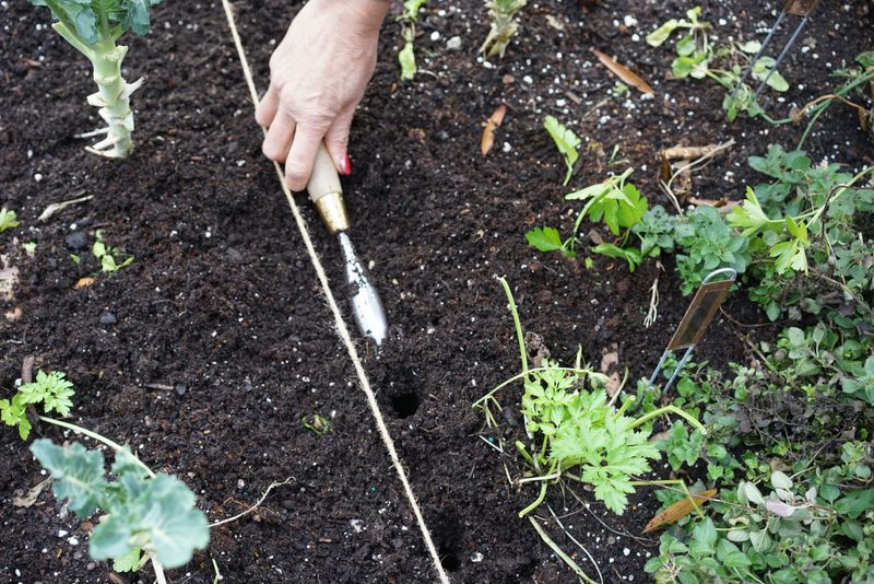 Correct Planting Depth