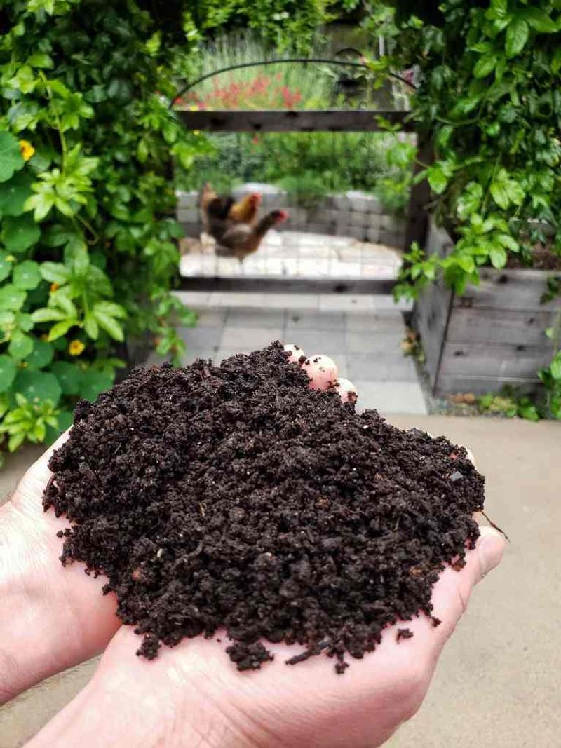 Consider Organic Options
