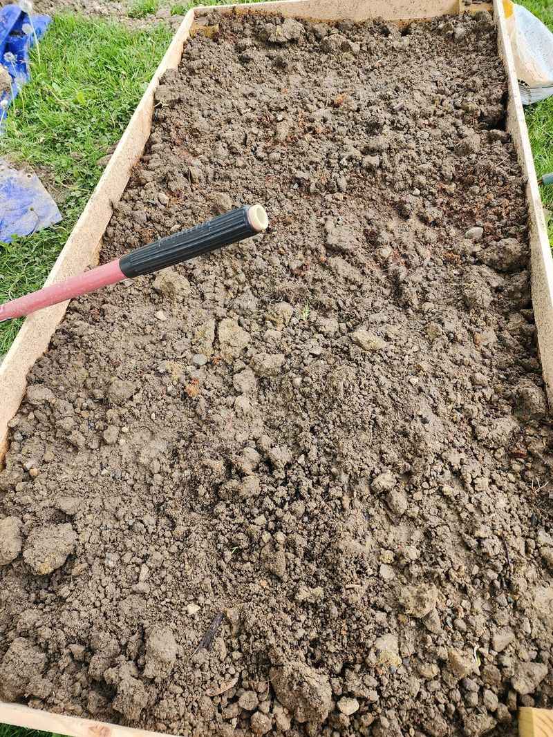 Prepare soil thoroughly before planting