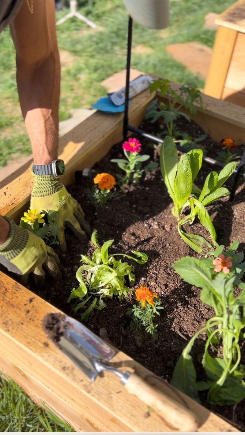 Prepare Your Soil Thoroughly