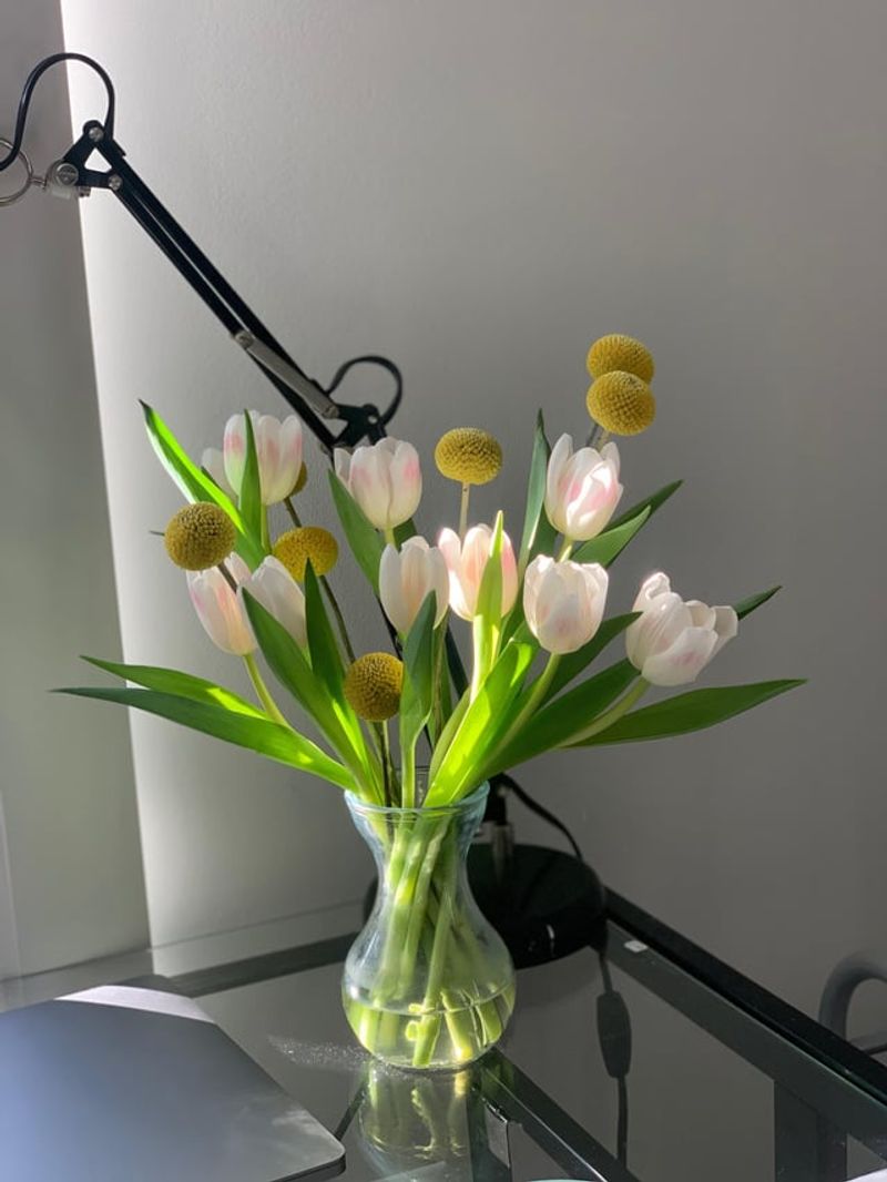 Change Vase Water Frequently