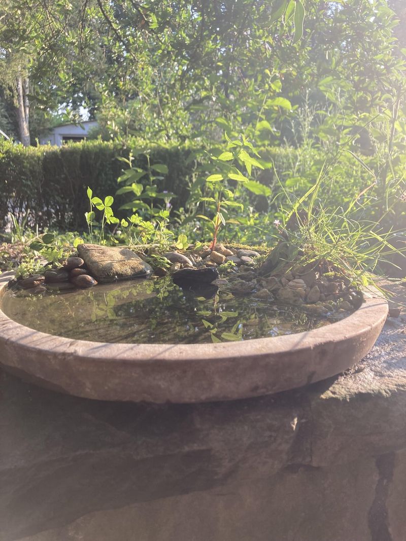 Bacteria Love to Hide Between Stones
