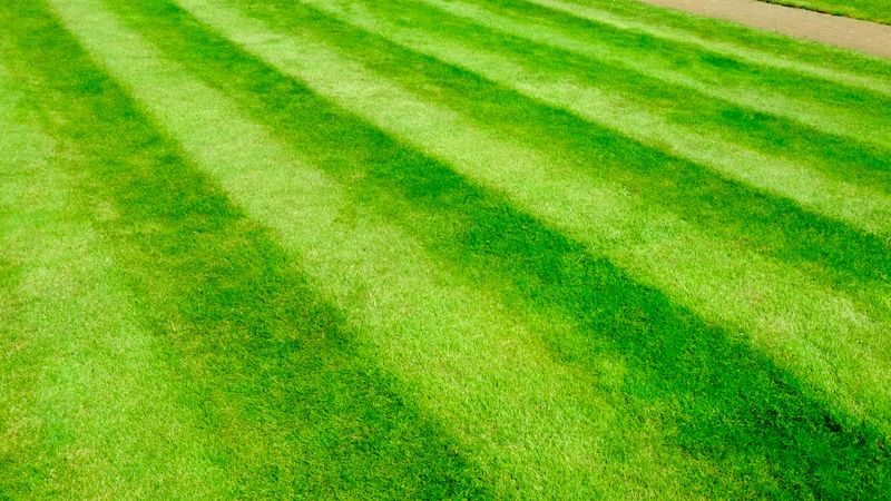 Lawn Stripe Illusions
