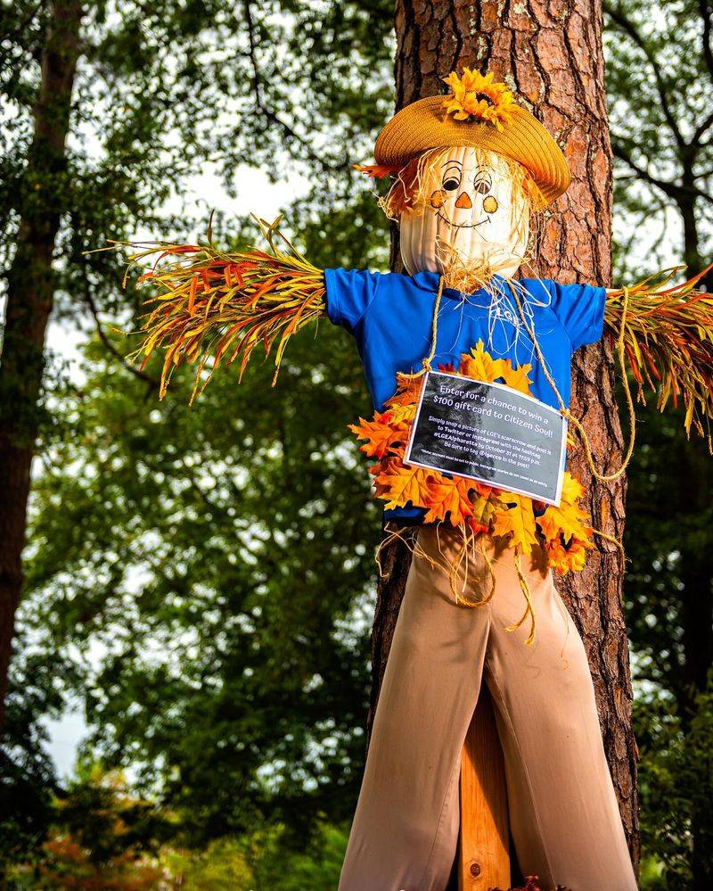 Old-Fashioned Scarecrow Building