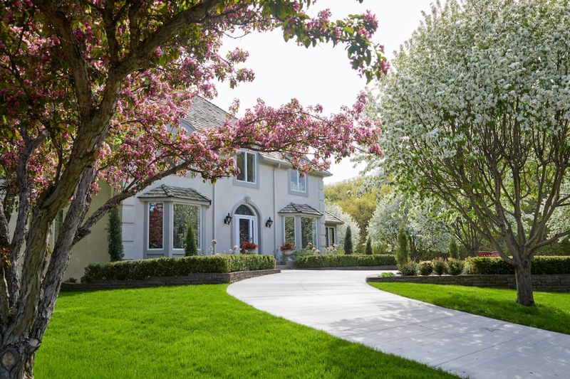 Fruit Trees as Landscaping Features