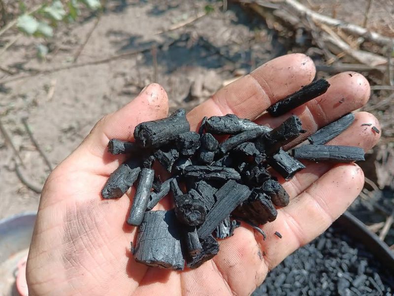Biochar