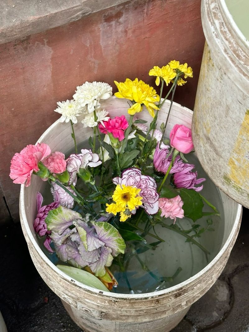 Bucket Bloom Containers