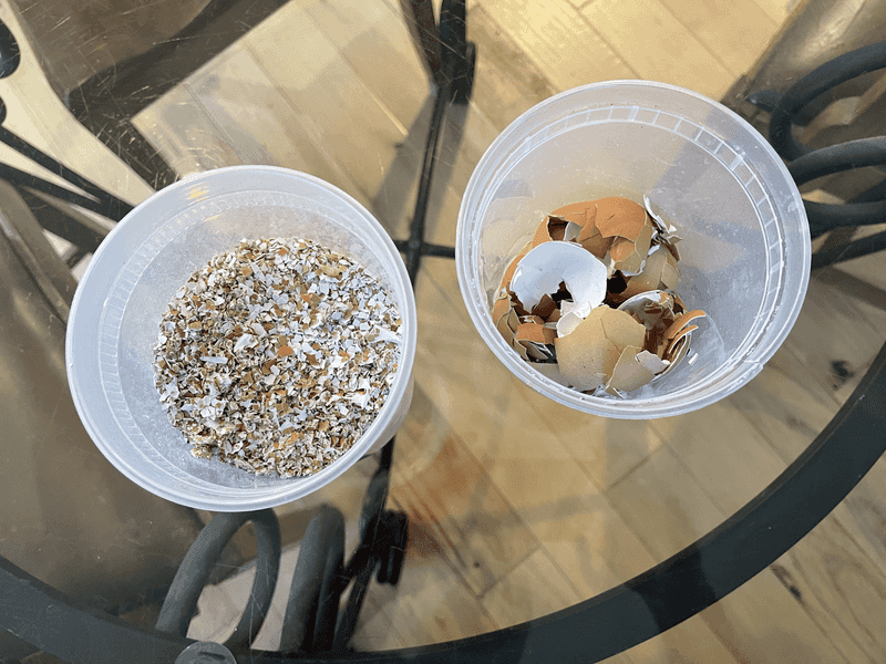 Eggshell Calcium Boost
