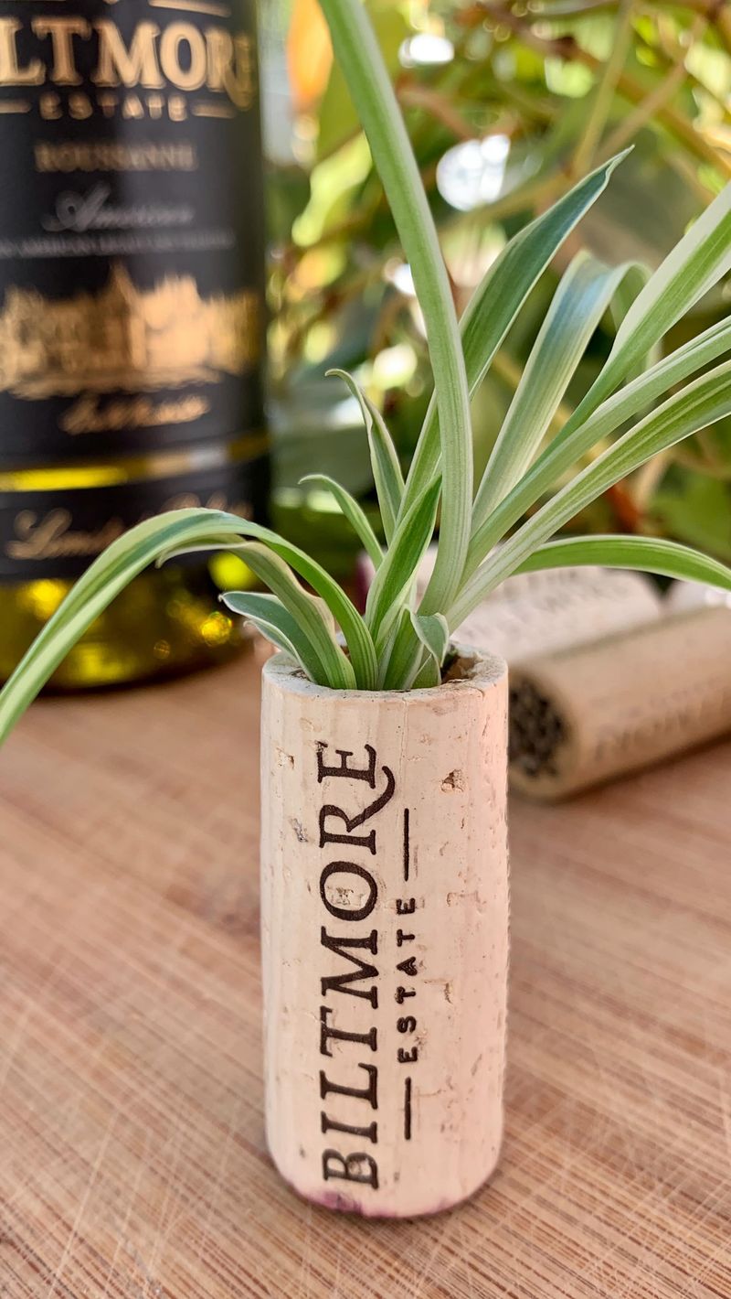Wine Cork Tiny Planters