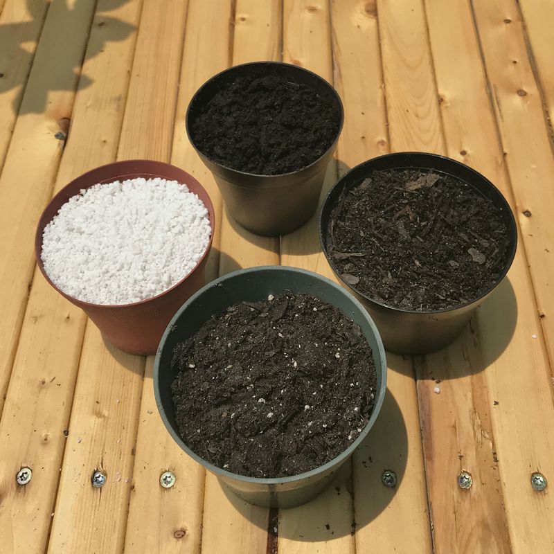 Perfect Planting Medium