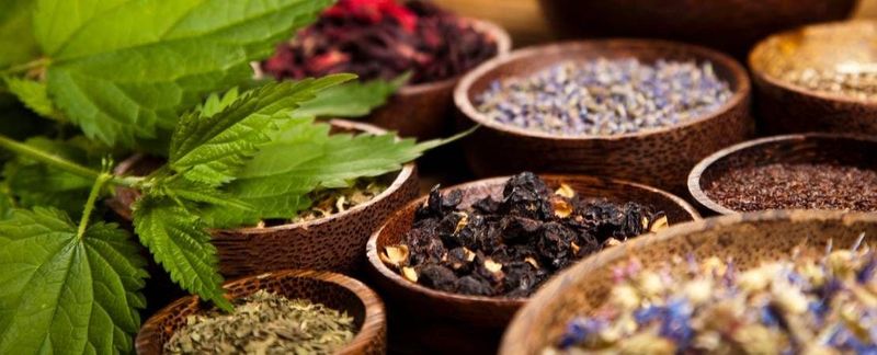 Ancient Medicinal Uses