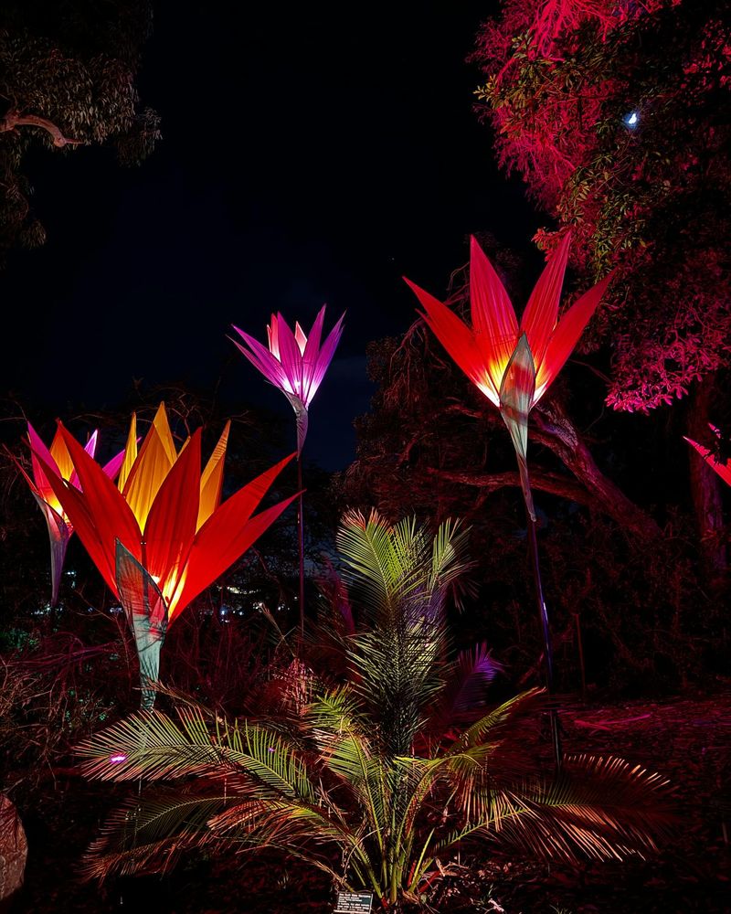 Illuminated Displays
