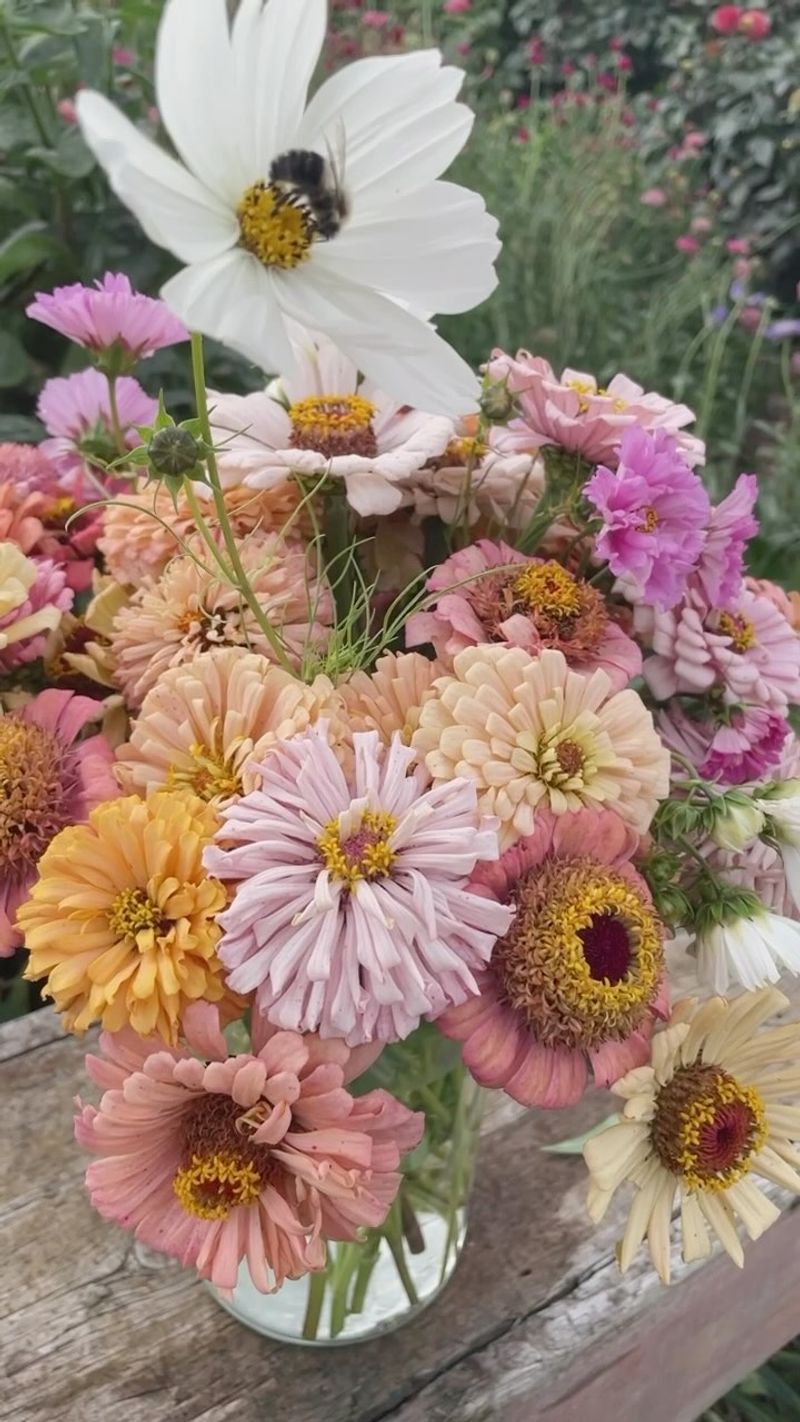 Cut-and-Come-Again Flower Containers