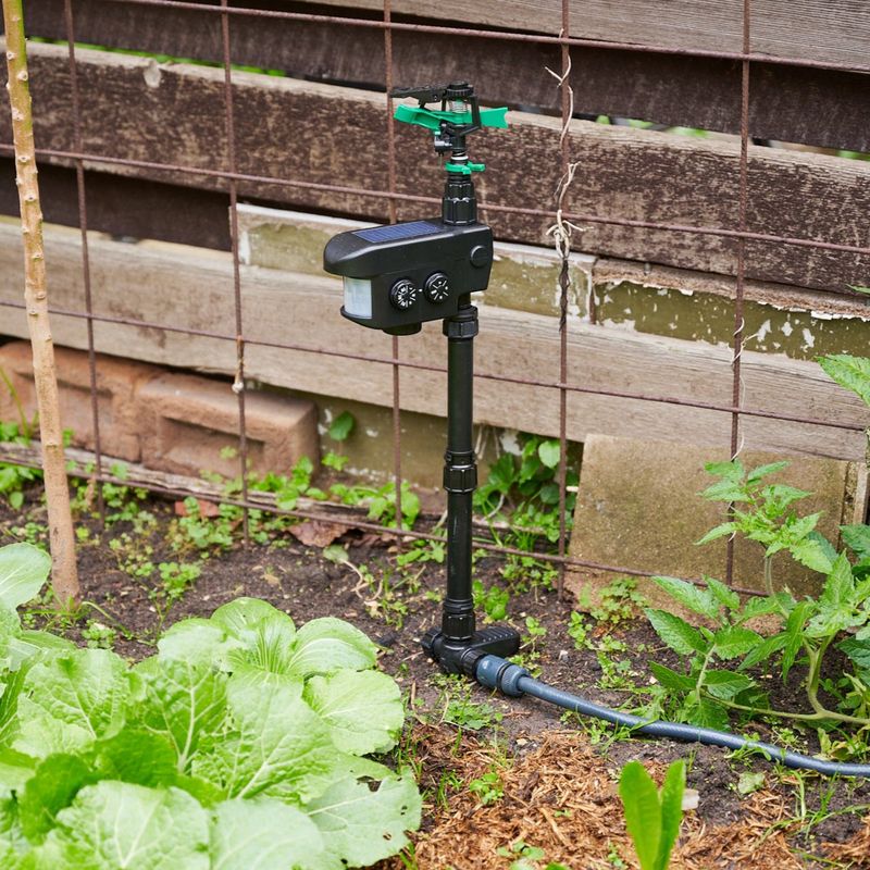 Motion-Activated Sprinklers