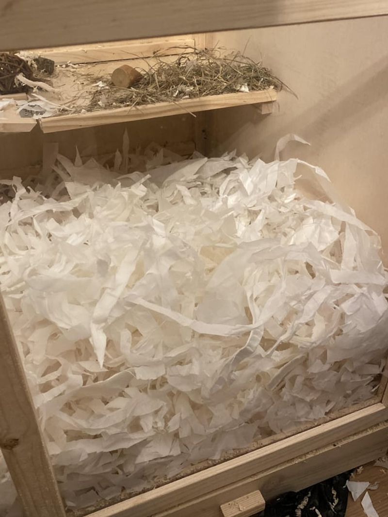 Pet Bedding