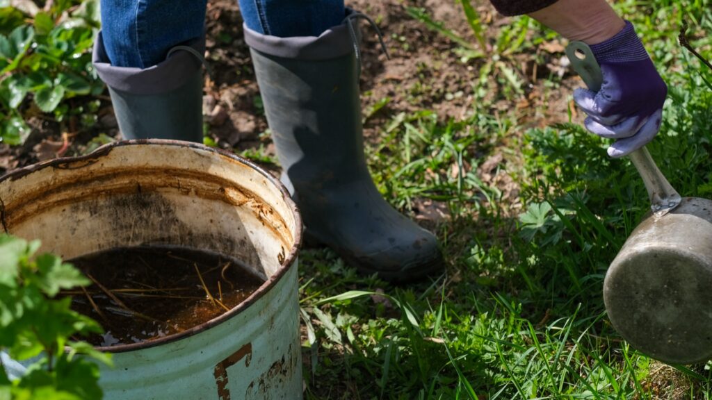 compost tea