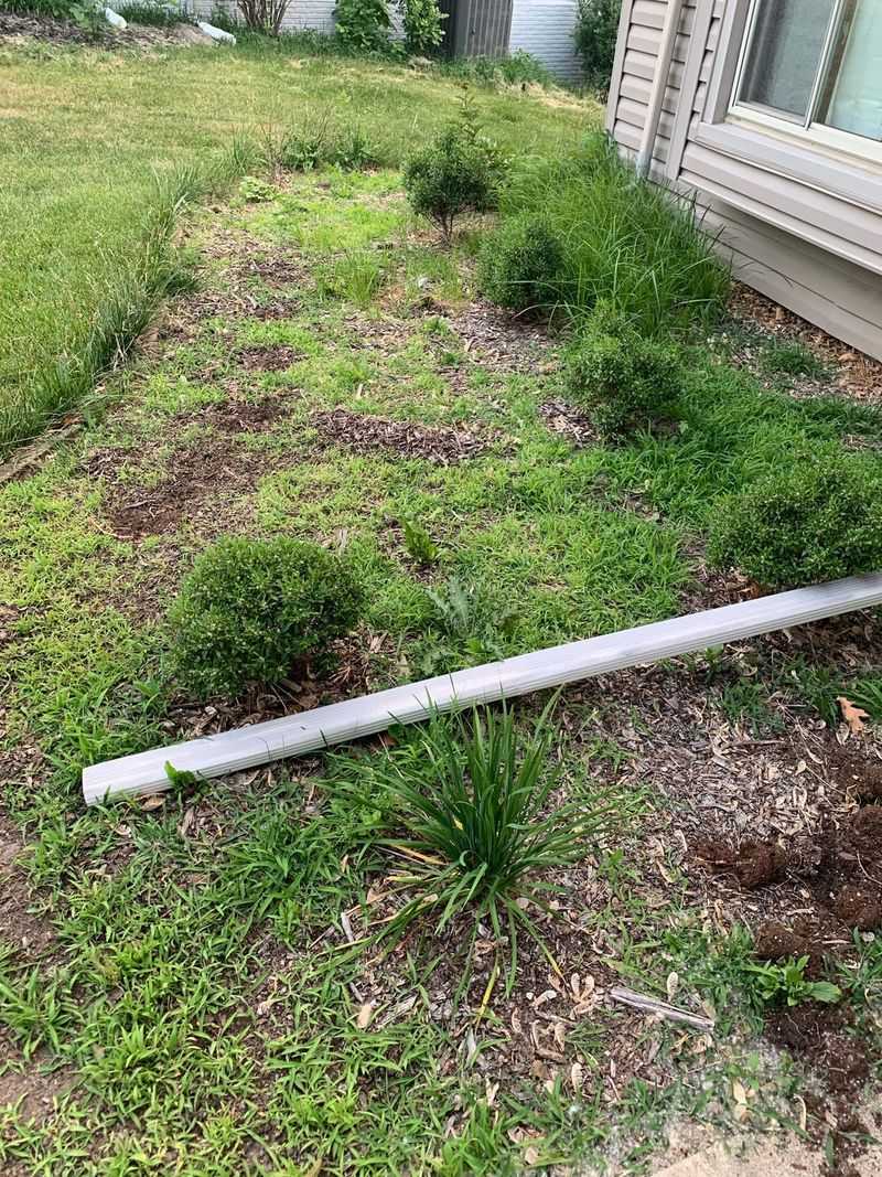 Weed Mulching