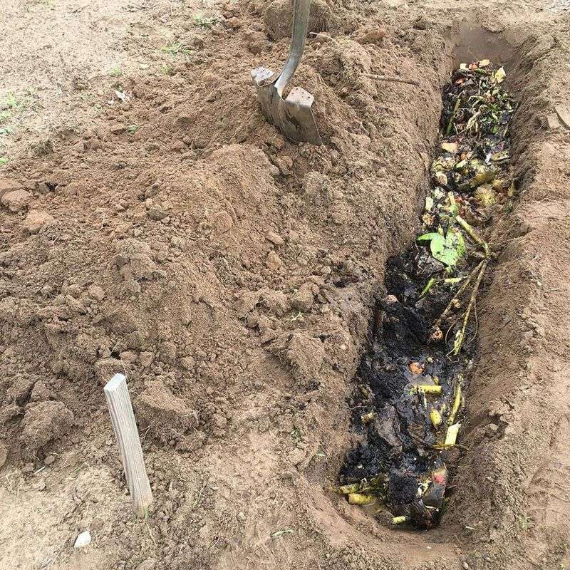 Trench Composting