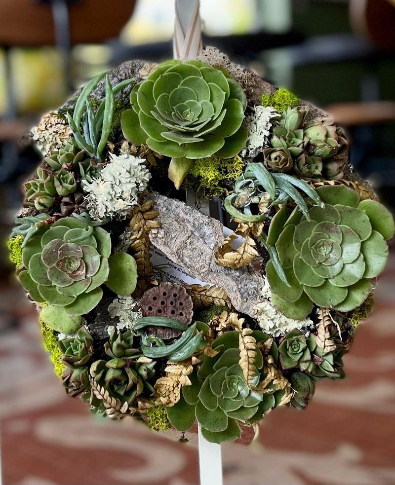 Succulent Wreaths