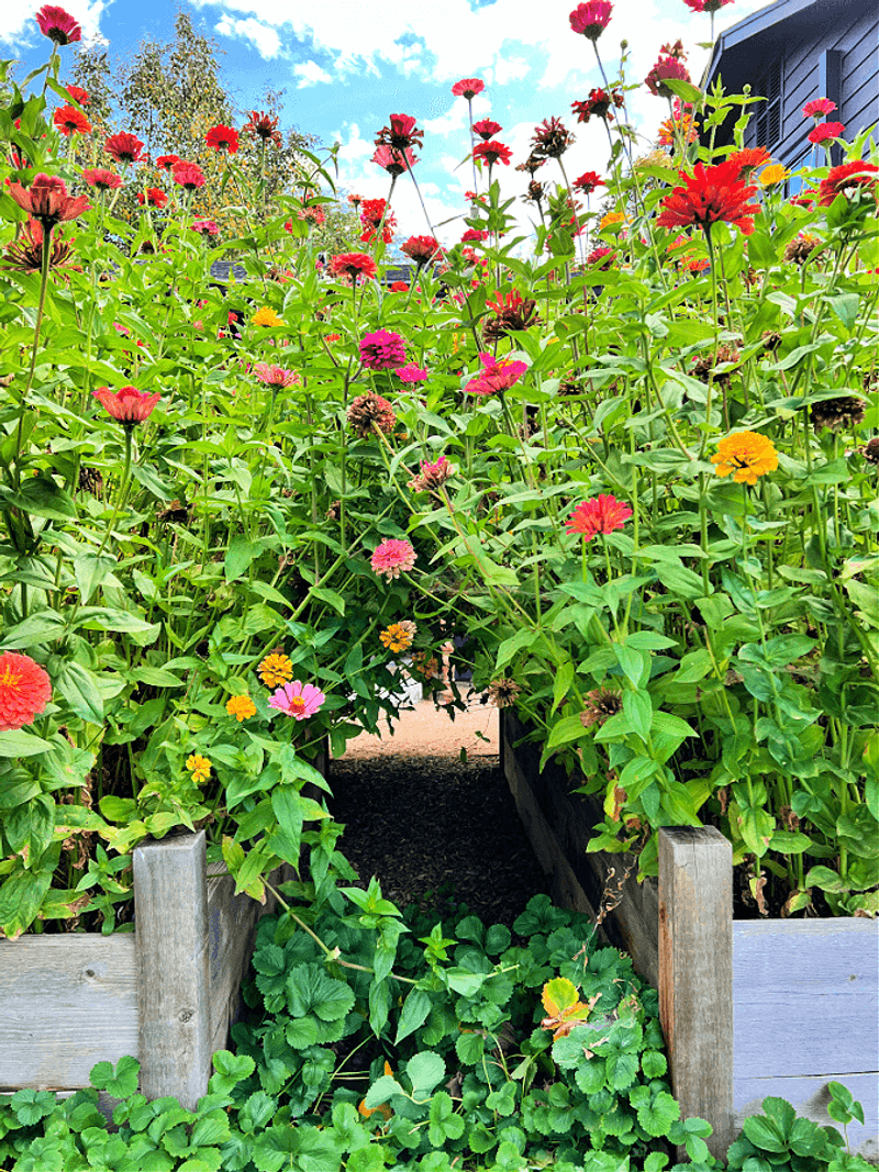Mulch Protection