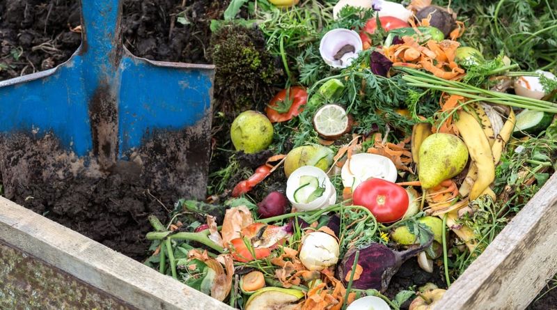 Pure Compost Soil