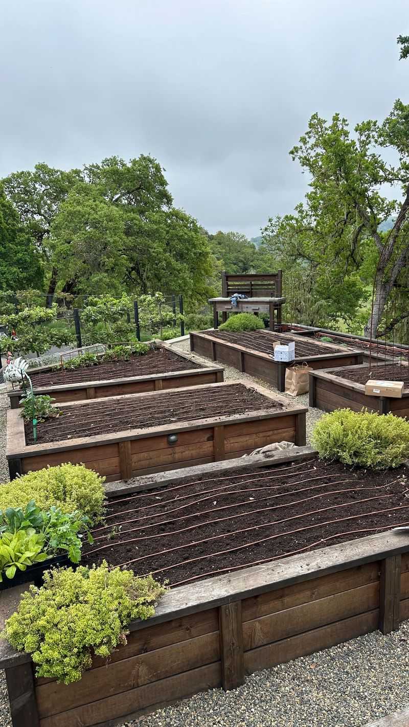 Multi-Level Landscaping