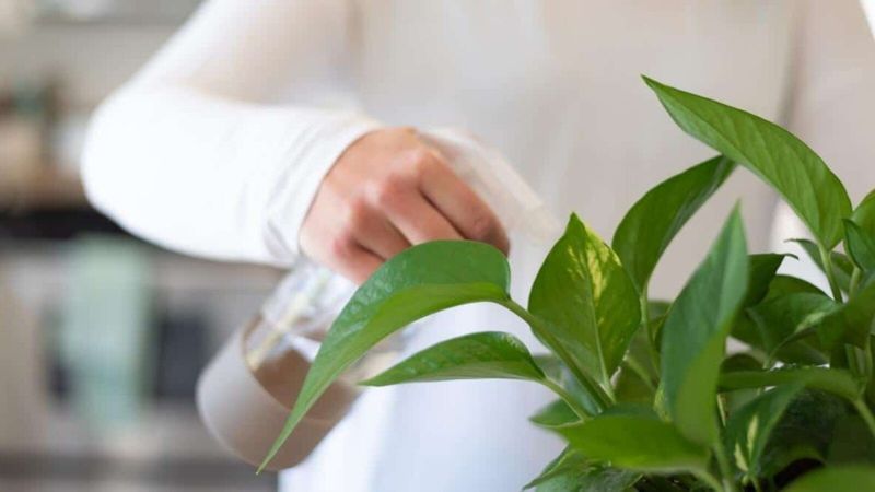 Manage Watering Cycles