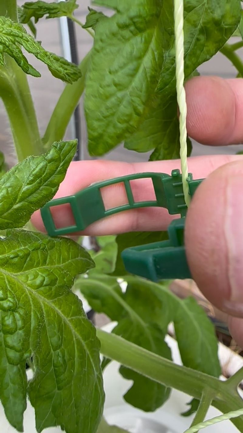 Provide Support for Growing Plants