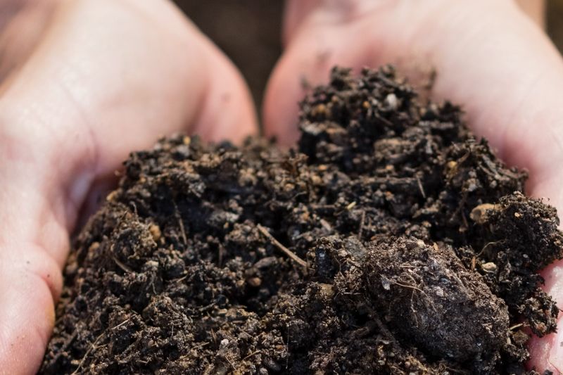 Boost Soil Microbial Activity