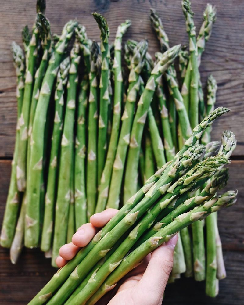Asparagus Requires Patience