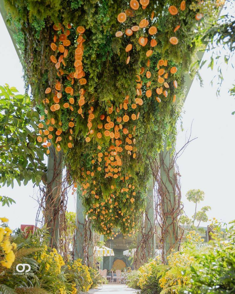 Hanging Basket Canopies