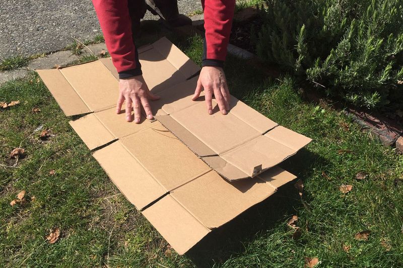 Newspaper or Cardboard Mulch