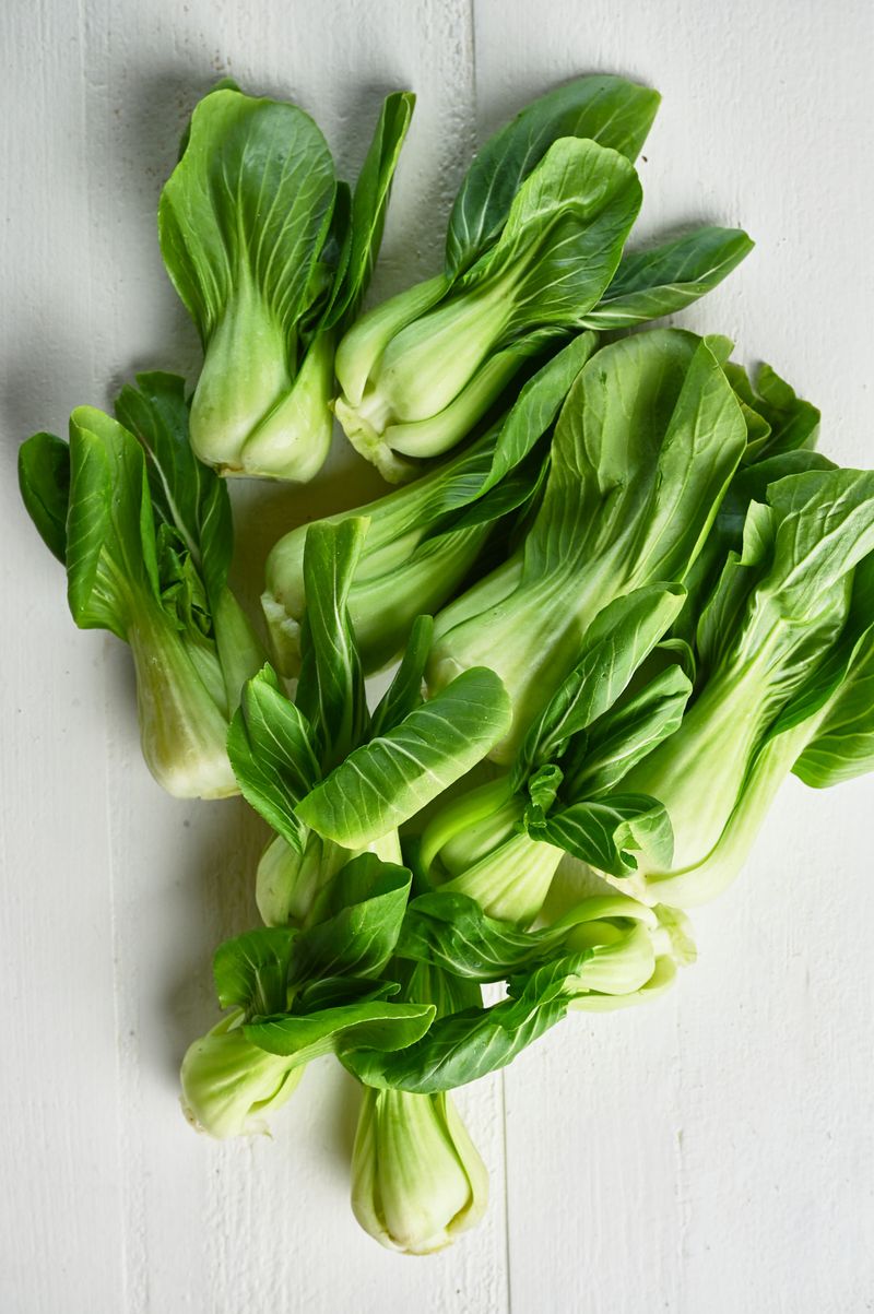 Bok Choy 'Baby Blue'