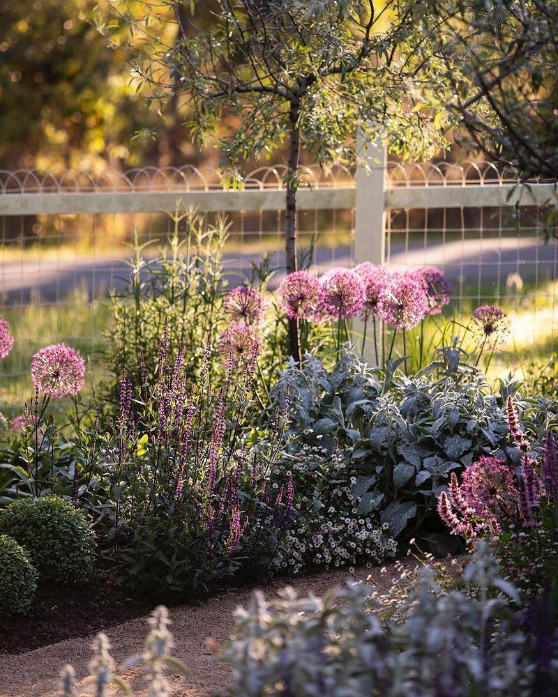 Alliums with Carrots